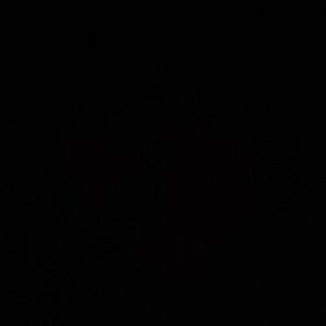 Super smash and Wii sports resort